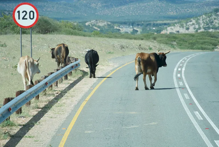 A remote road crossing through the open landscape of Damaraland, Namibia