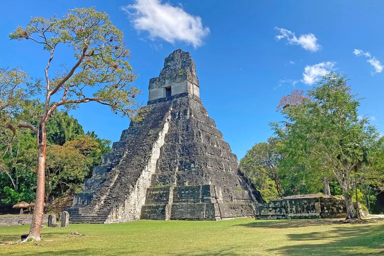 Temple of the Great Jaguar rising above the forest at Tikal, Guatemala