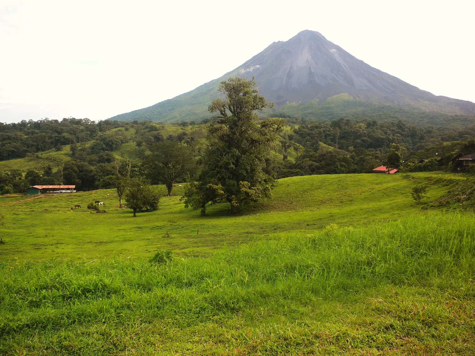 Arenal Volcano and green fields near La Fortuna, Costa Rica