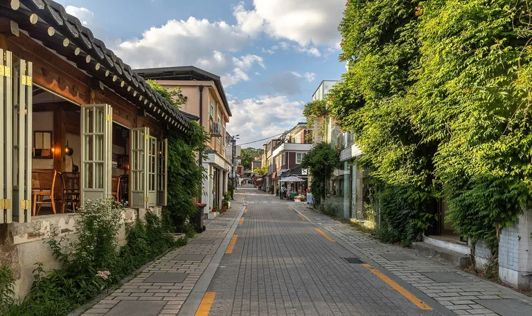 A quiet plant-lined street in Seoul, South Korea